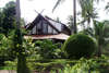 Coconut Sands 